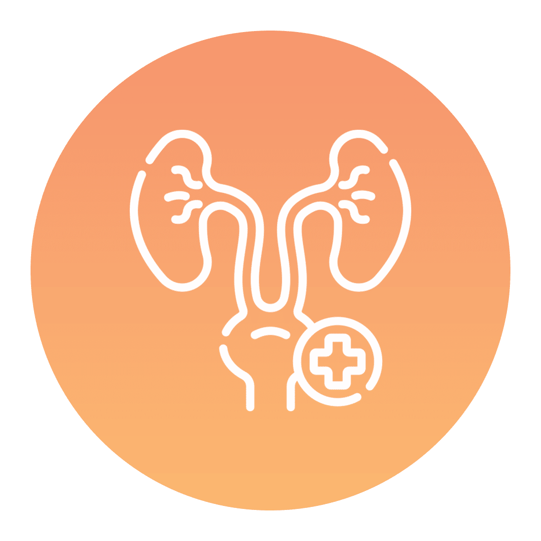 urologia